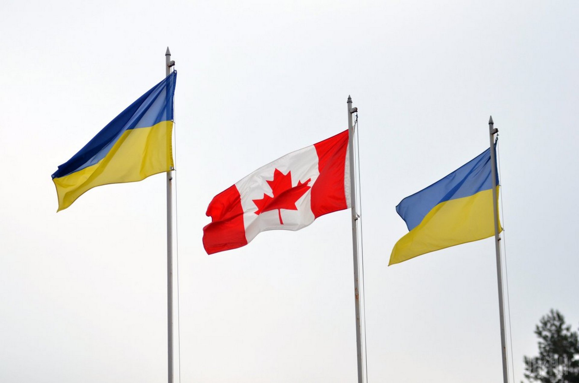 Зустріч керівництва компанії Логос Спорт з послом Канади в Україні.